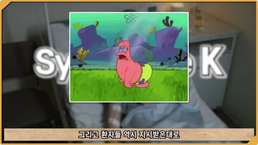 나치 독일도 벌벌 떨게 한 K-증후군.jpg - 이미지 48