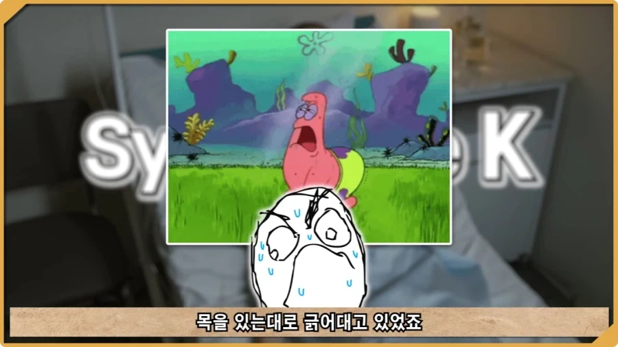 나치 독일도 벌벌 떨게 한 K-증후군.jpg - 이미지 52
