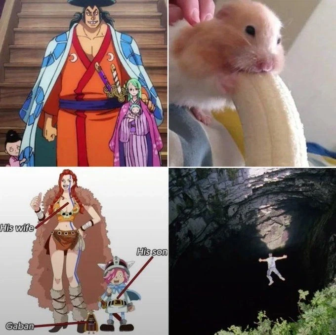 원피스 어메이징한 부부들