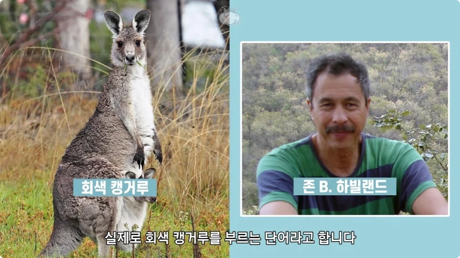 인터넷에서 잘못 알려진 사실.jpg - 이미지 11