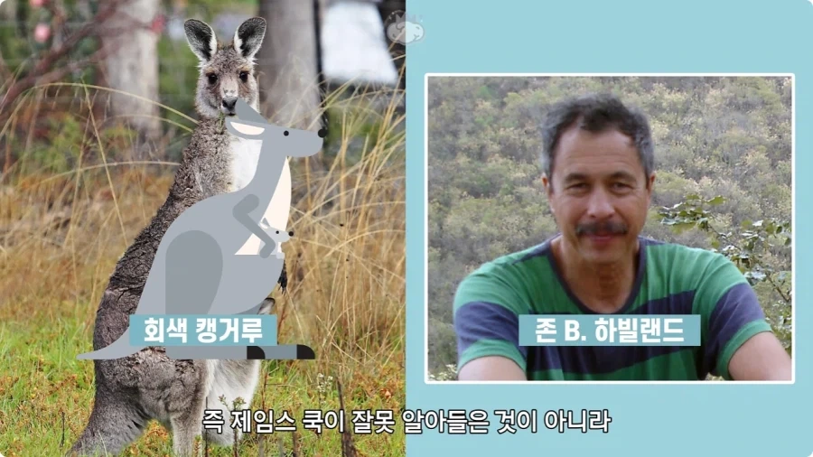 인터넷에서 잘못 알려진 사실.jpg - 이미지 12