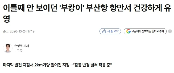 이틀째 안보이던 부캉이 부산항 항만에서 유영하는거 발견