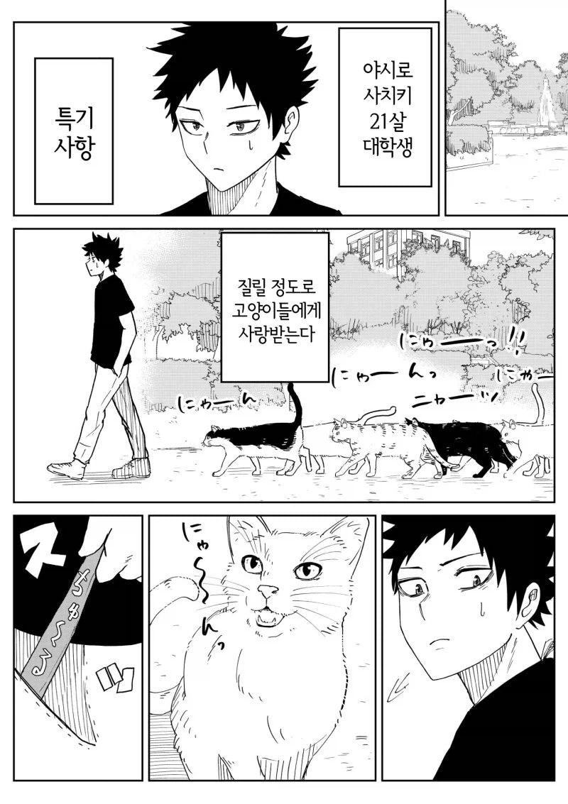 자기가 결혼 가능한 인간 ㅇㅋ이라고 주장하는 고양이 만화 - 이미지 5