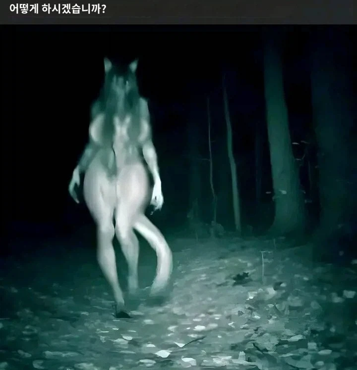 밤에 숲에서 산책 중에 이런 걸 만나면