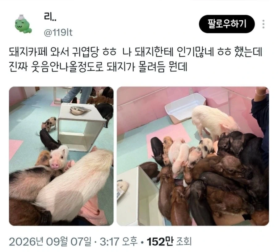 돼지카페의 인기인ㄷㄷㄷㄷㄷㄷ