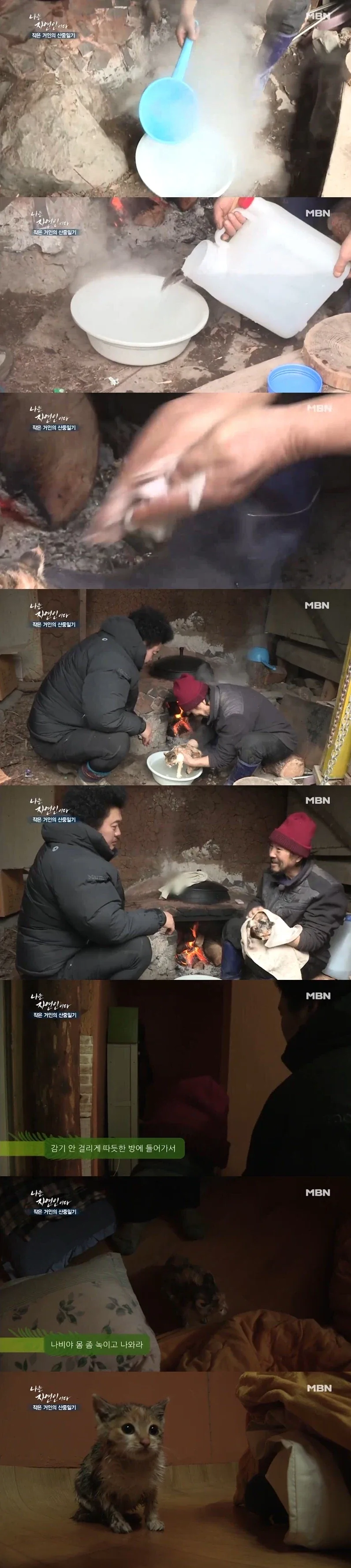 새끼 고양이를 뜨거운물에 담구는 자연인 - 이미지 2