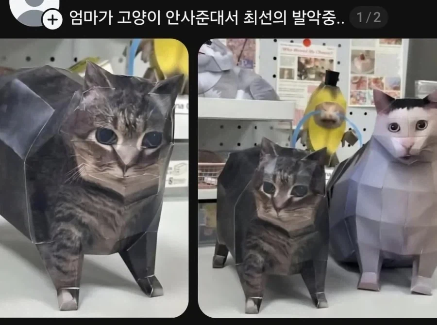 엄마가 고양이 안사준대서 최선의 발악중...