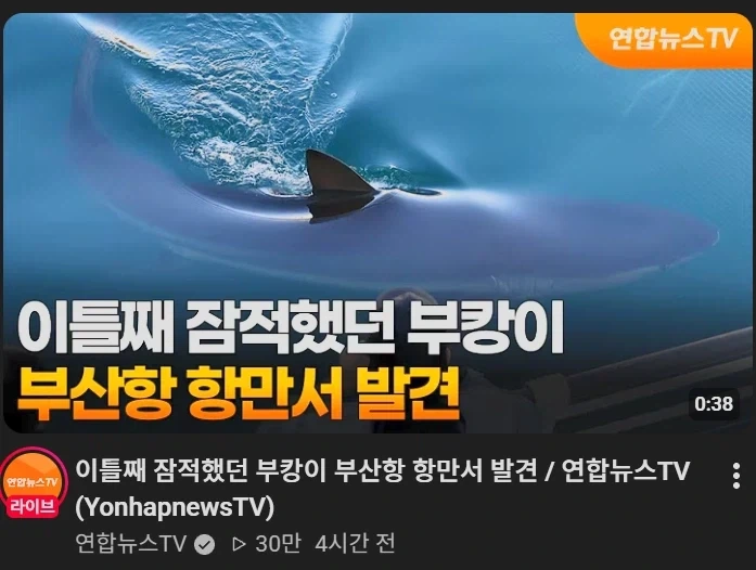 뭐야 부캉이 다시 나타났네