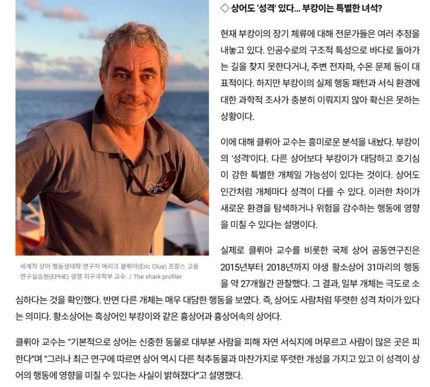 ???? : 부캉이는 그냥 관종입니다.