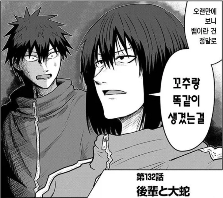 뱀은 꼬 추와 같다