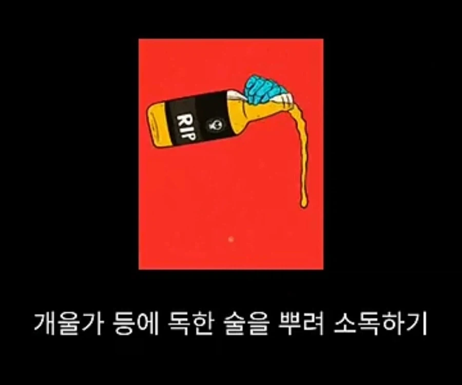 프랑스에서 흑사병을 퇴치시킨 의사의 정체 - 이미지 12