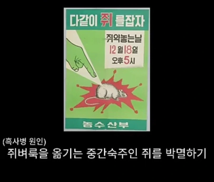 프랑스에서 흑사병을 퇴치시킨 의사의 정체 - 이미지 13