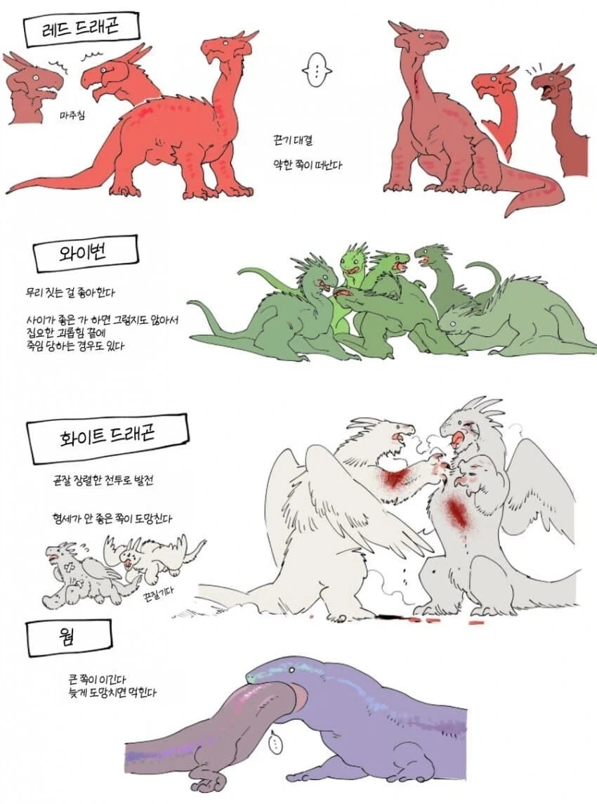 던전밥)용들의 영역다툼 방법