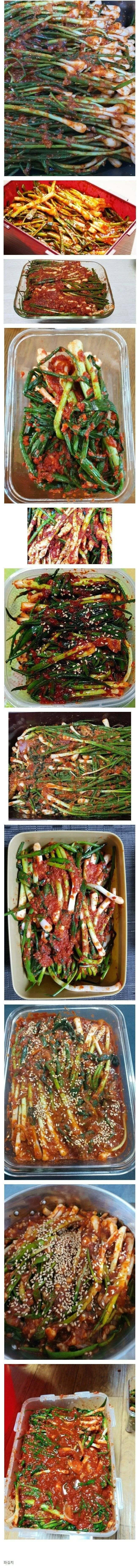 취향 타는 김치.jpg