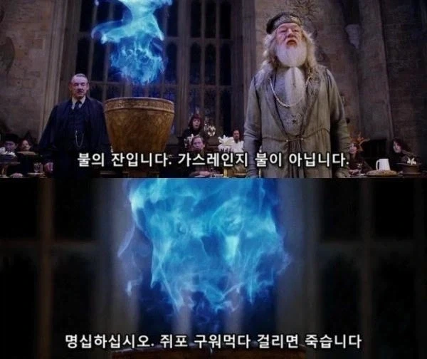 해리포터) 불의잔입니다.