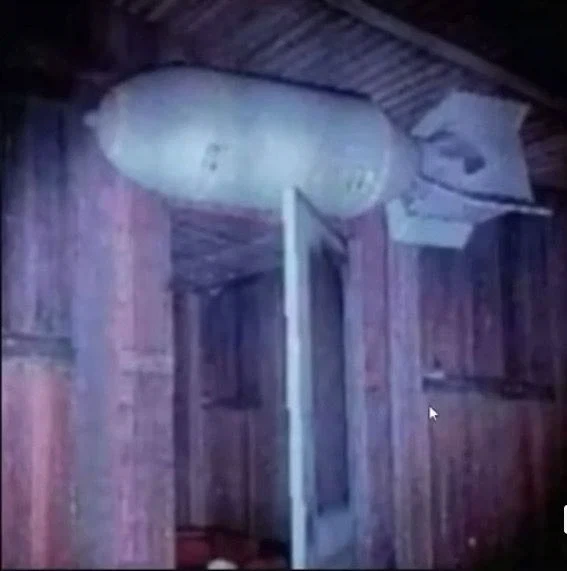 ??? : 로그님 들어오는 입구에 함정 설치 제대로 하신거맞죠?
