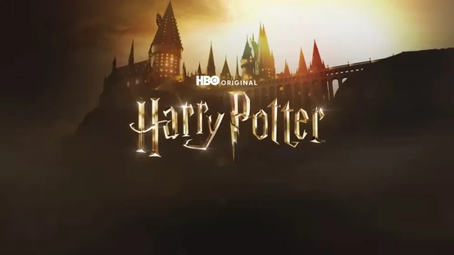 해리포터) 깨어나라 해리!!!