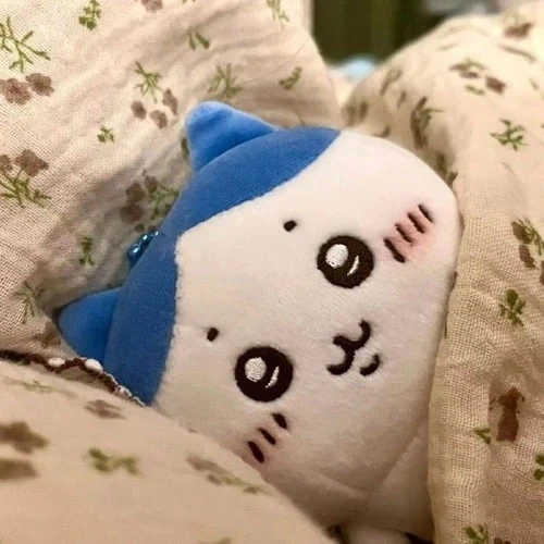 하치와레 너무 귀여운거 같아