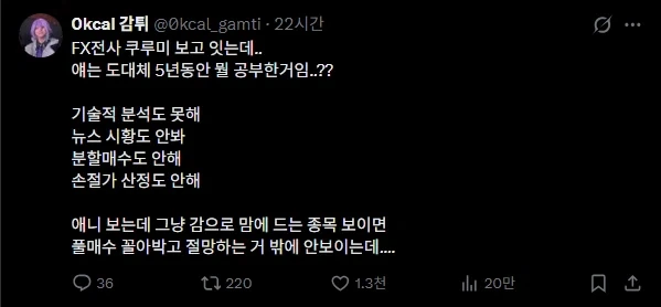 FX 쿠루미를 보고 의아한 투자자