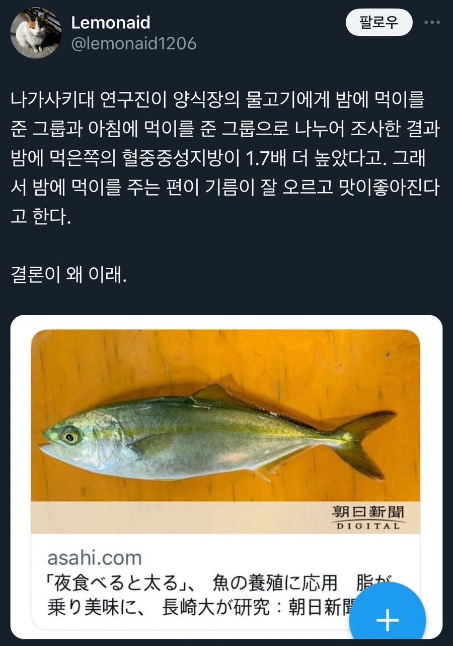 "밤에 먹으면 살 쪄"
