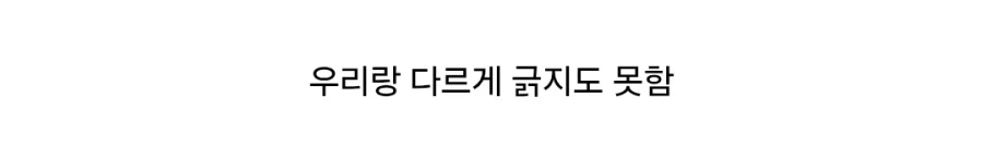동물 피 빠는 모기 - 이미지 2