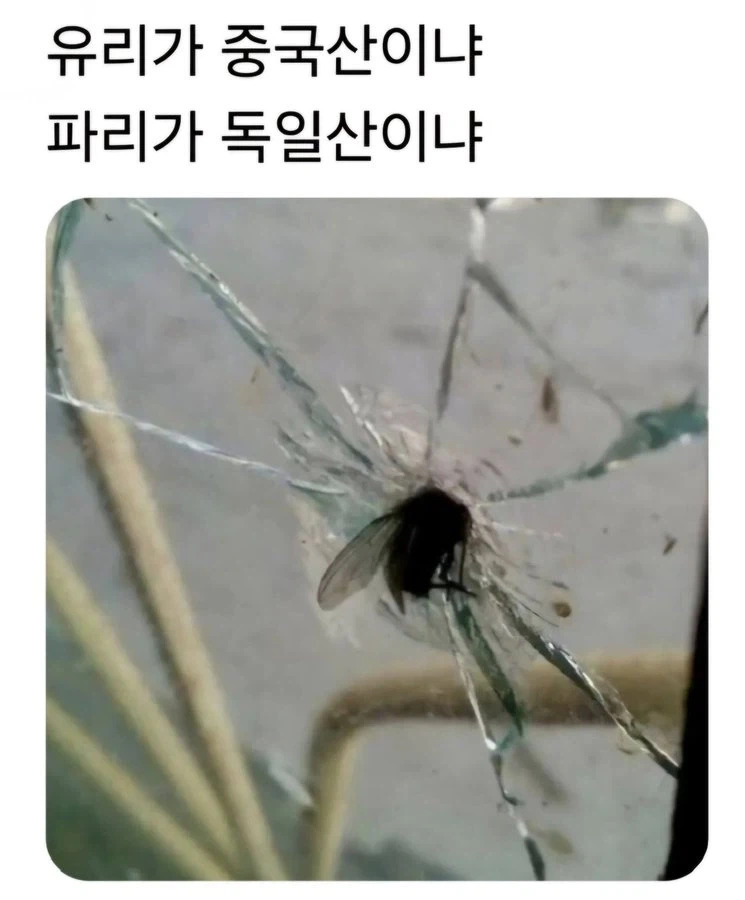 파리 무시하면 안돼는 이유