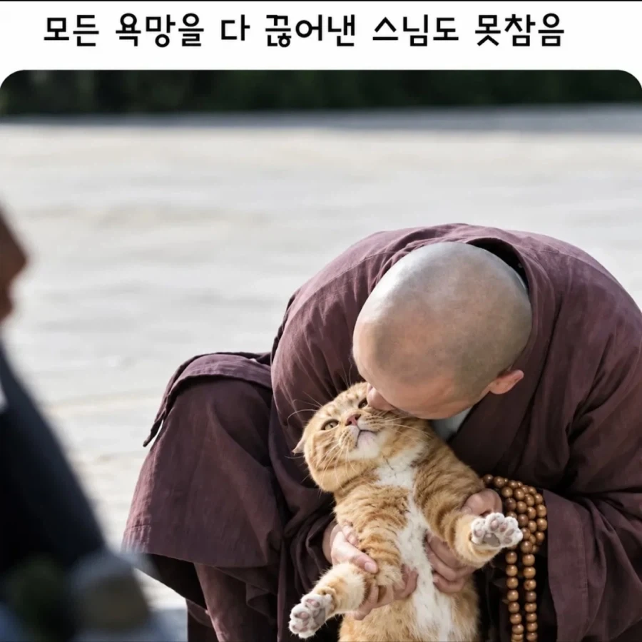 스님도 못참는거