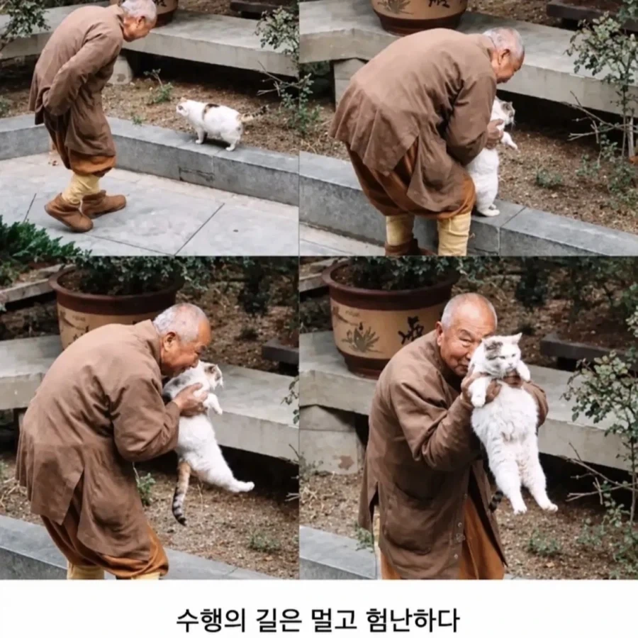 스님도 못참는거 - 이미지 2