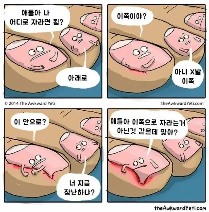 “얘들아 나 어디로 자라면 돼?”.jpg