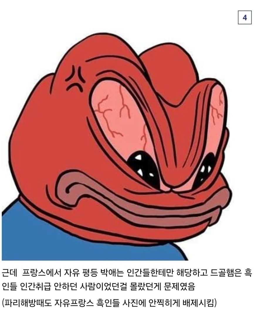 서아프리카 기니한테 프랑스가 한일 - 이미지 4