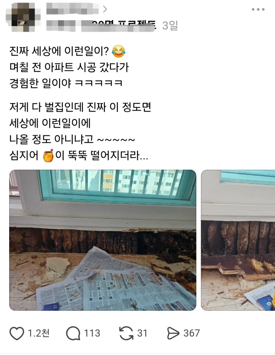 아파트 인테리어 하러갔다가 벌집 만난 시공업자.jpg