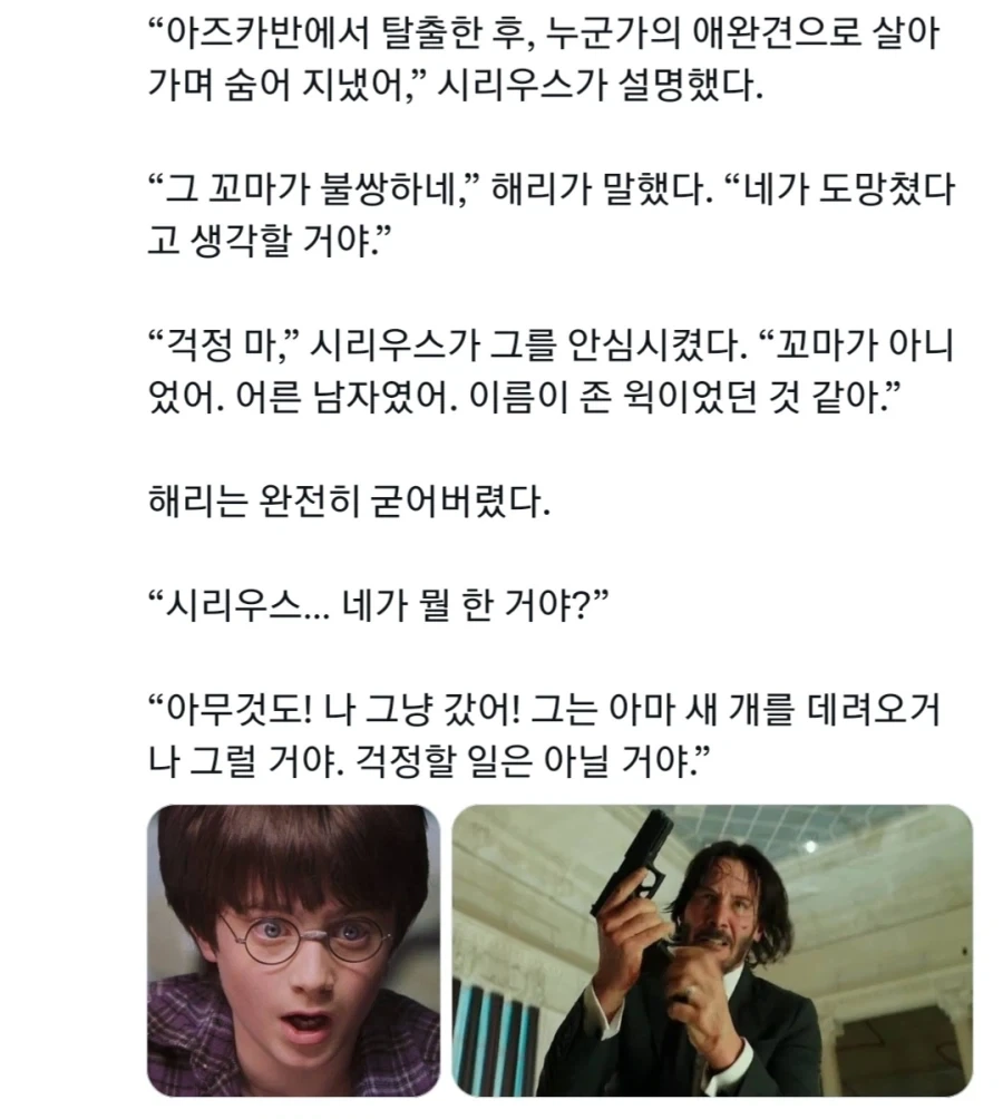해리포터) 시리우스? 아즈카반을 탈출해서 그동안 어떻게 지낸거야?