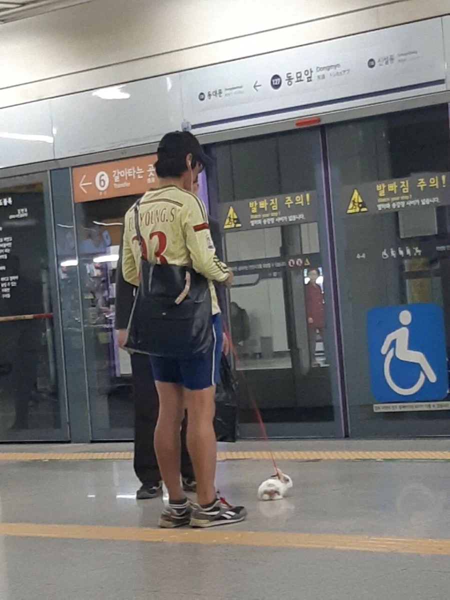 사람은 서울에 살아야 하는 이유 - 이미지 7