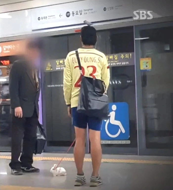 사람은 서울에 살아야 하는 이유 - 이미지 8