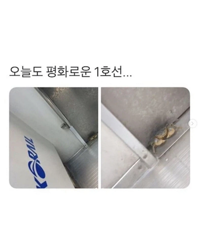 사람은 서울에 살아야 하는 이유 - 이미지 9