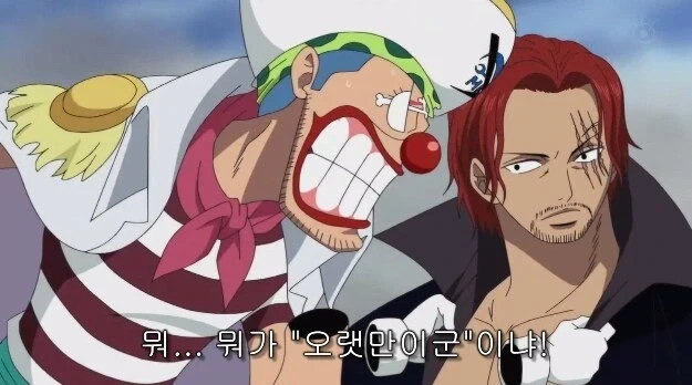 원피스 독자들이 보는 버기와 해적들이 보는 버기