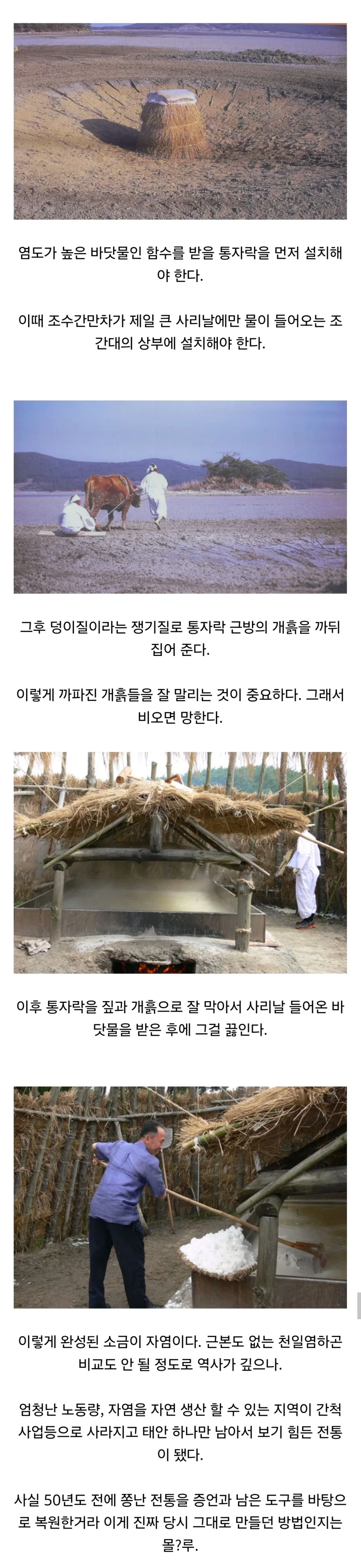 천일염같은 사기가 아닌 진짜 한국 전통 소금 만드는 법