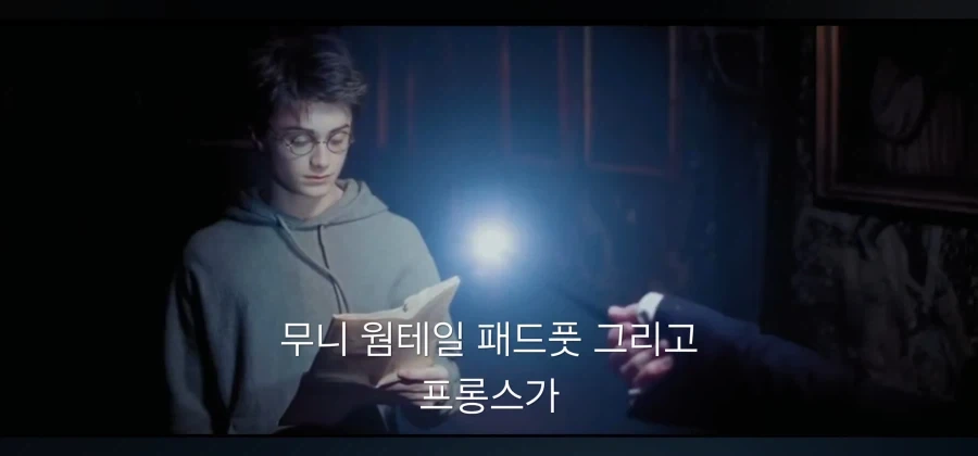 스네이프 제대로 꼽주기 - 이미지 14