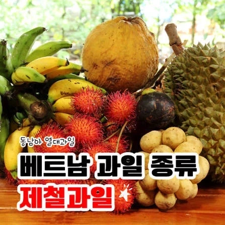 중국사람 과일먹는거 우리나라 사람은 하나도 안부러워하지