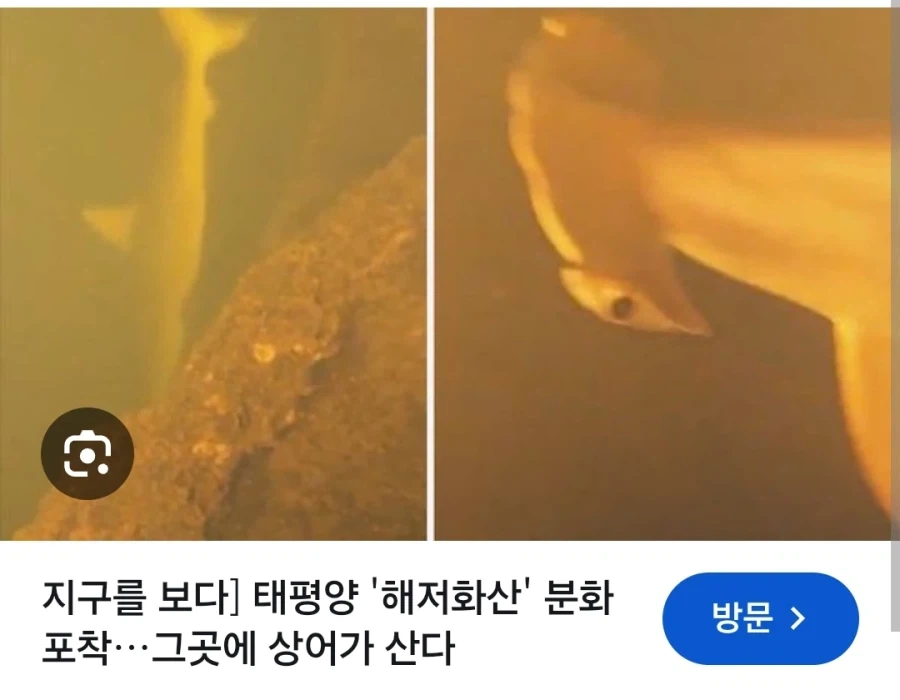 ?? : 마그마가 뭐 어쨌다는거냐? - 이미지 2