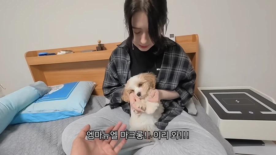 새로 데려온 강아지 이름이 마음에안드는 이유