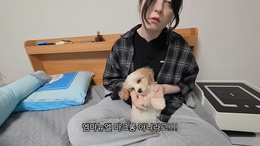 새로 데려온 강아지 이름이 마음에안드는 이유 - 이미지 2
