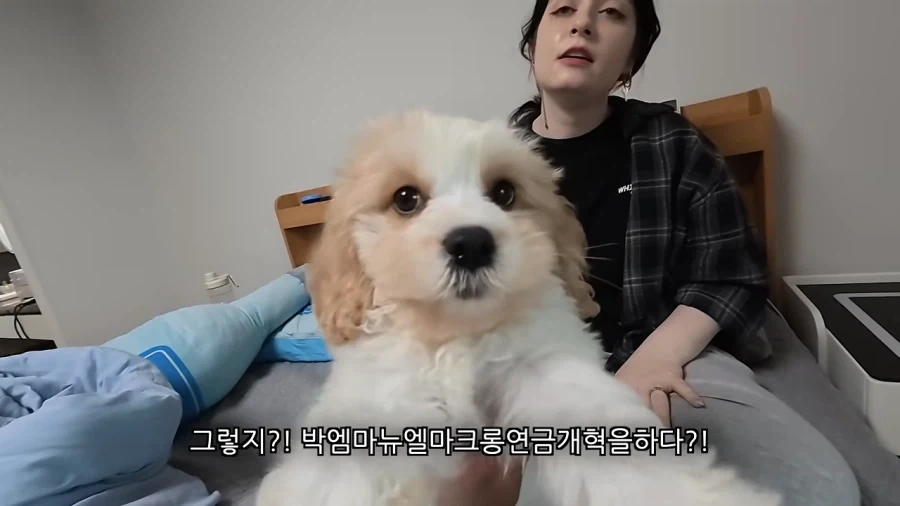새로 데려온 강아지 이름이 마음에안드는 이유 - 이미지 8
