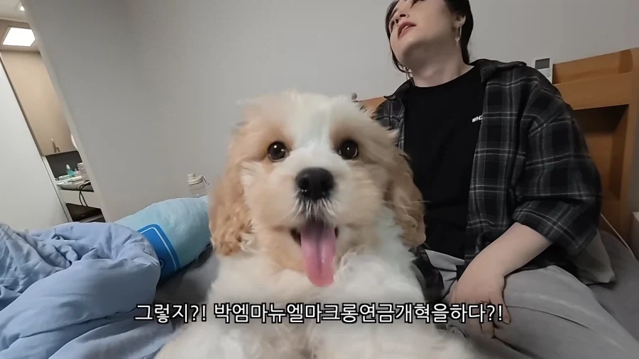 새로 데려온 강아지 이름이 마음에안드는 이유 - 이미지 9