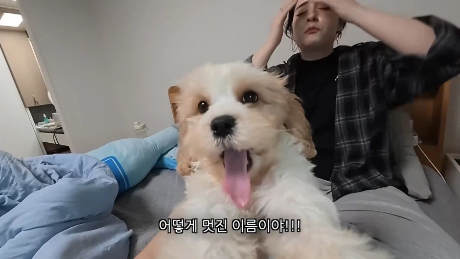 새로 데려온 강아지 이름이 마음에안드는 이유 - 이미지 10