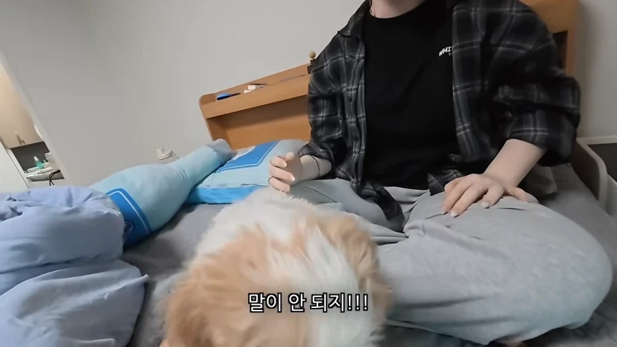 새로 데려온 강아지 이름이 마음에안드는 이유 - 이미지 11