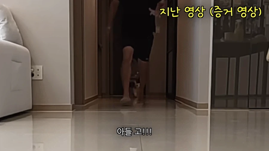 새로 데려온 강아지 이름이 마음에안드는 이유 - 이미지 17