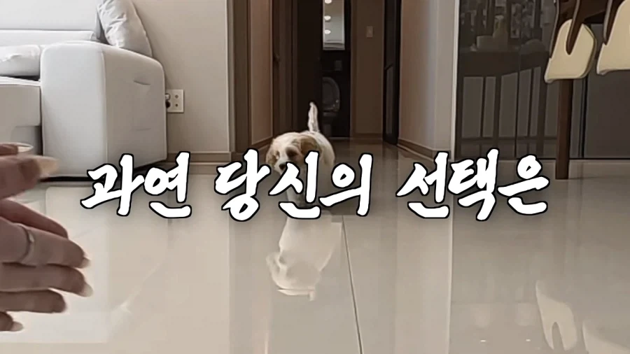 새로 데려온 강아지 이름이 마음에안드는 이유 - 이미지 18