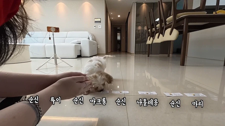 새로 데려온 강아지 이름이 마음에안드는 이유 - 이미지 19