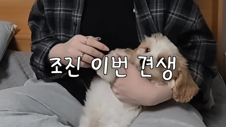 새로 데려온 강아지 이름이 마음에안드는 이유 - 이미지 21